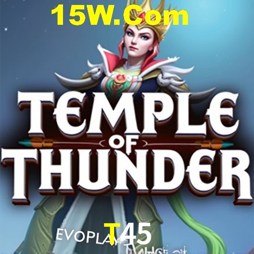 Flash Promotion T45