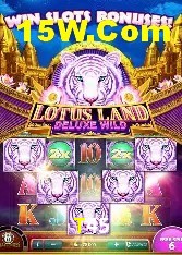 Casino Ao Vivo T45