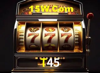T45 - User Statistics